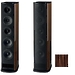 Напольная акустика T+A TCD 310 S Macassar ebony