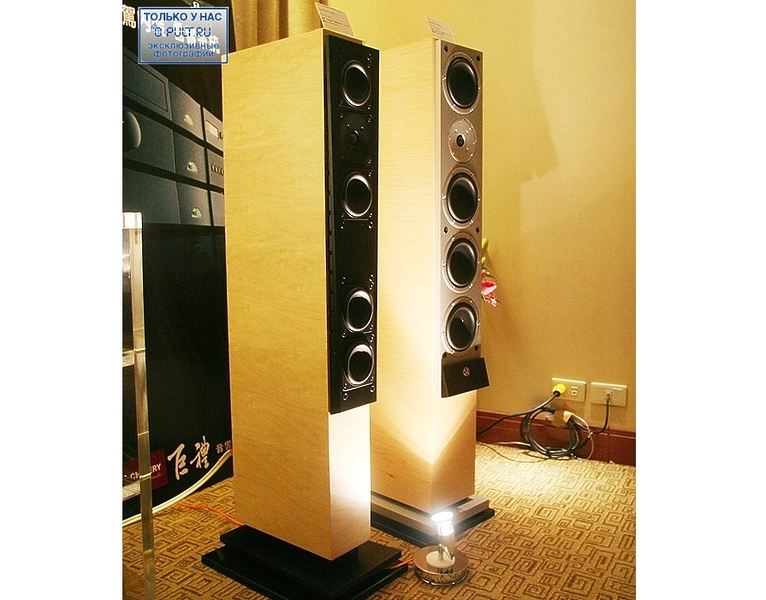 Акустическая система System Audio SA Ranger black артикул 396420FV-1 фото 6