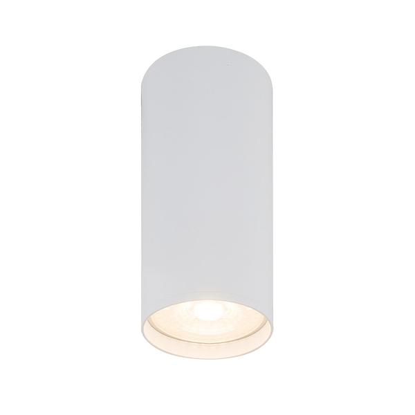 Светильник накладной Denkirs DK2051-WH (White) артикул 270502Si-1