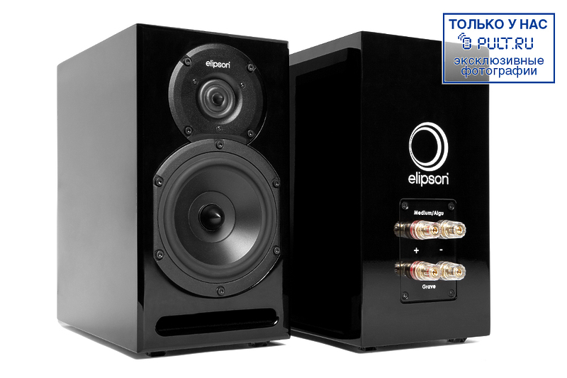Акустическая система Elipson Studio Pro High Gloss Black артикул 447898FV-1 фото 3