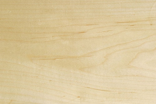 Напольная акустика Dynaudio Focus 260 maple артикул 397990FV-1 фото 3
