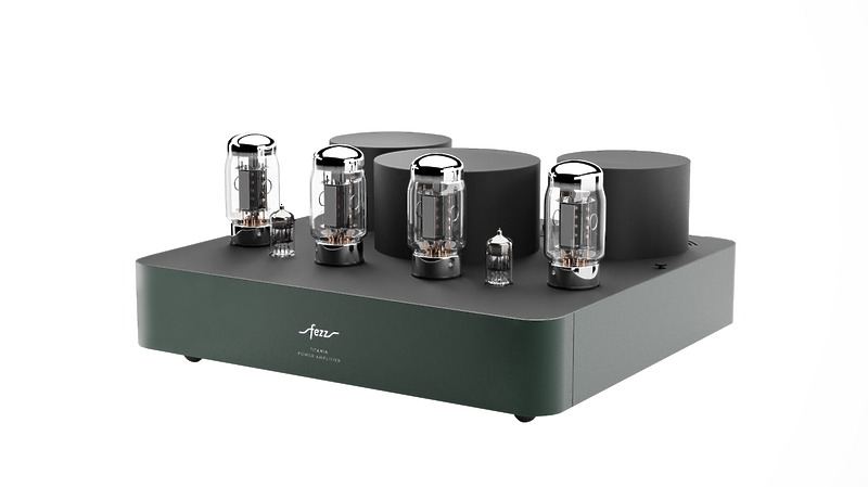 Ламповый усилитель мощности Fezz Audio Titania Power Amplifier EVO Evergreen артикул 334073Si-1 в интернет-магазине «HiFiRussia»
