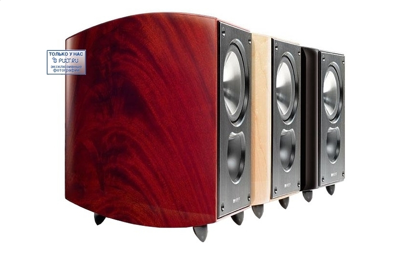Акустическая система KEF XQ20 bird's eye maple (пара) артикул 448399FV-1 фото 8