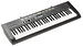 Клавишный инструмент Casio CTK-1250