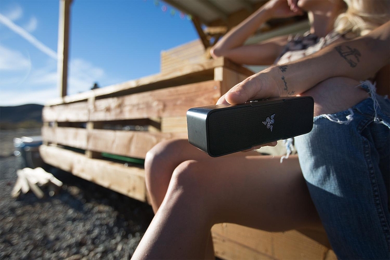 Razer Leviathan Mini (RZ05-01570100-R3G1) #7 в «HiFiRussia»