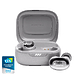Наушники JBL Live Free 2 Silver