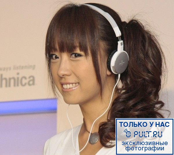 Наушники Audio Technica ATH-ES55 black артикул 115383FV-1 фото 5