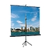 Экран на штативе Lumien [LEV-100109] Eco View 220x220см (раб.область 214х214 см) Matte White
