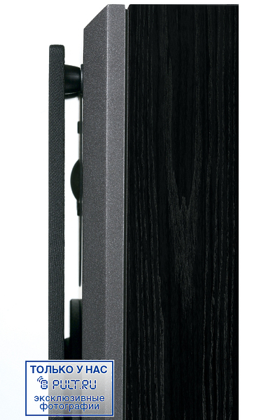 Напольная акустика Dynaudio DM3/7 black артикул 398293FV-1 фото 5