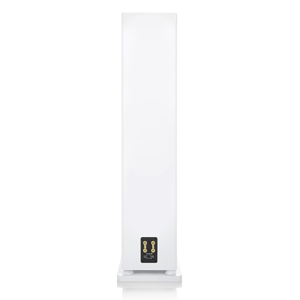 Напольная акустика Canton Townus 100 White Matt артикул 308670Si-1 фото 6