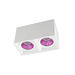 Светильник накладной Denkirs DK3085-WH+PI (White Pink)