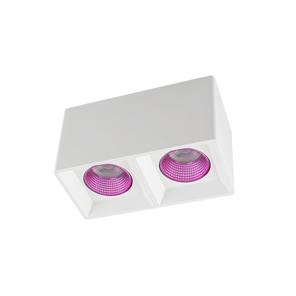 Светильник накладной Denkirs DK3085-WH+PI (White Pink) артикул 270684Si-1