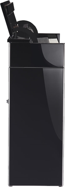 Клавишный инструмент Roland DP90S-EPE артикул 136357Si-1 фото 3