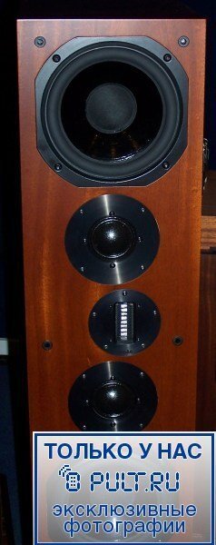 Акустическая система ProAc Response D80R maple артикул 403128FV-1 фото 6