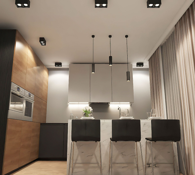 Светильник накладной Denkirs DK3085-BK+WH (Black White) артикул 270670Si-1 фото 3