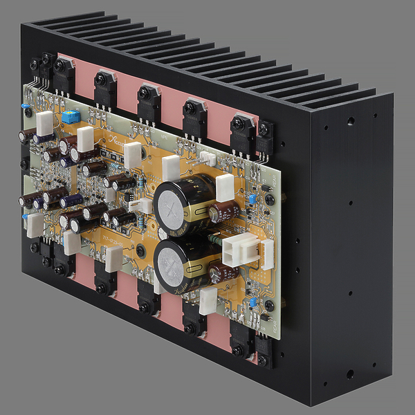 Интегральный усилитель Accuphase E-5000 артикул 294461Si-1 фото 6