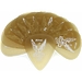 Медиаторы CLAYTON UST80/12 - 0.80 mm ULTEM gold уменьшенный 12 шт