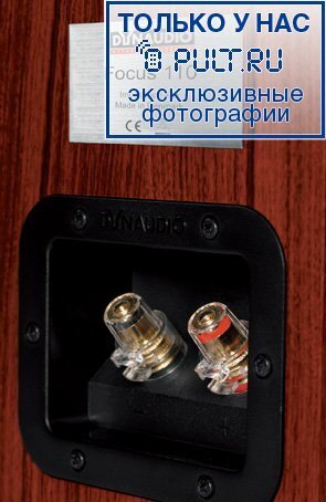 Акустическая система Dynaudio Focus 110 maple артикул 443664FV-1 фото 7