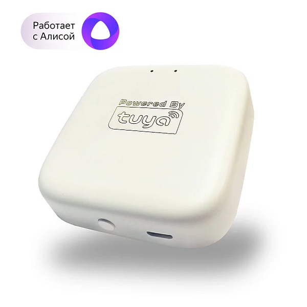 Wi-Fi конвертер Denkirs DK7400-WF артикул 270889Si-1