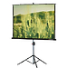 Экран Lumien Master View 220x220 см Matte White FiberGlass LMV 100111