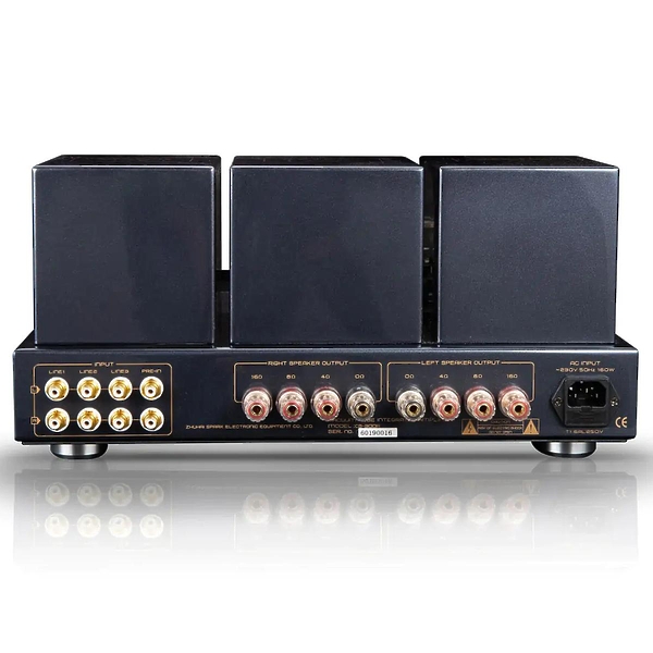 Ламповый усилитель Cayin CS-300A Black артикул 269753Si-1 фото 3