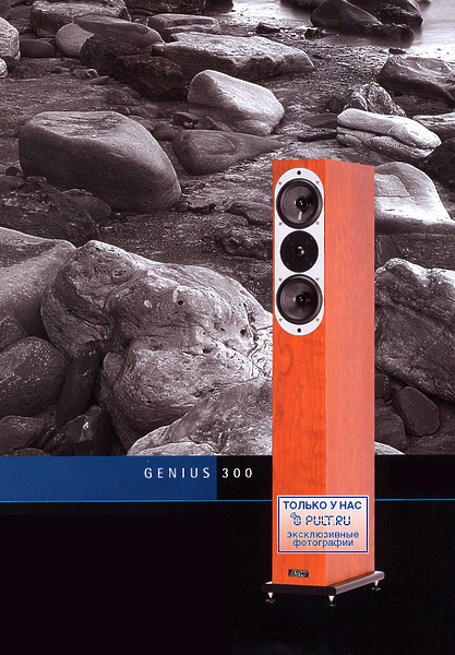 Напольная акустика ASW Genius 300 wenge артикул 426303FV-1 фото 3
