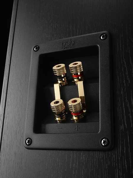 Напольная акустика PSB Imagine X 2T black артикул 114733Si-1 фото 4