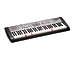 Клавишный инструмент Casio LK-130 (без адаптера)
