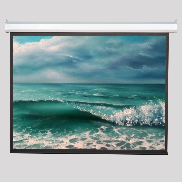 Экран Viewscreen Antis (16:9) 566*374 (554*312) MW артикул 167827Si-1