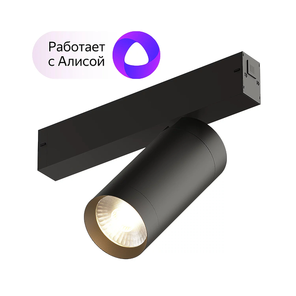 Светильник акцентный Denkirs DK8020-BK (Black) артикул 270791Si-1