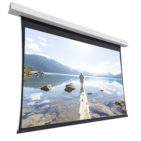 Экран Projecta [10104079]  Tensioned Descender Large Electrol 223х350 см (158") HD Progressive 1.3 артикул 225419Si-1