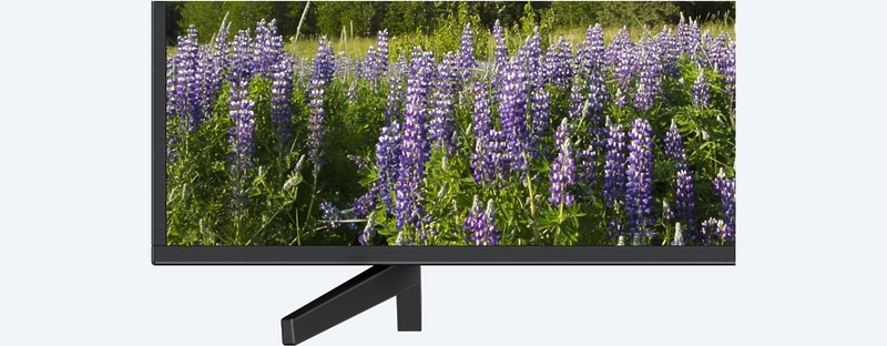 LED телевизор Sony KD-55XF7005BR2 артикул 178986Si-1 фото 5