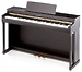 Клавишный инструмент Kawai CN25R
