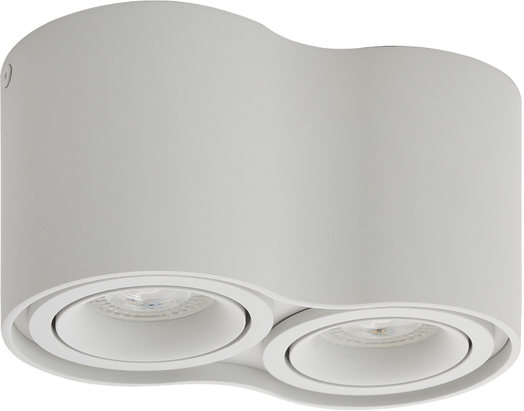 Светильник накладной Denkirs DK2002-WH (White) артикул 270485Si-1