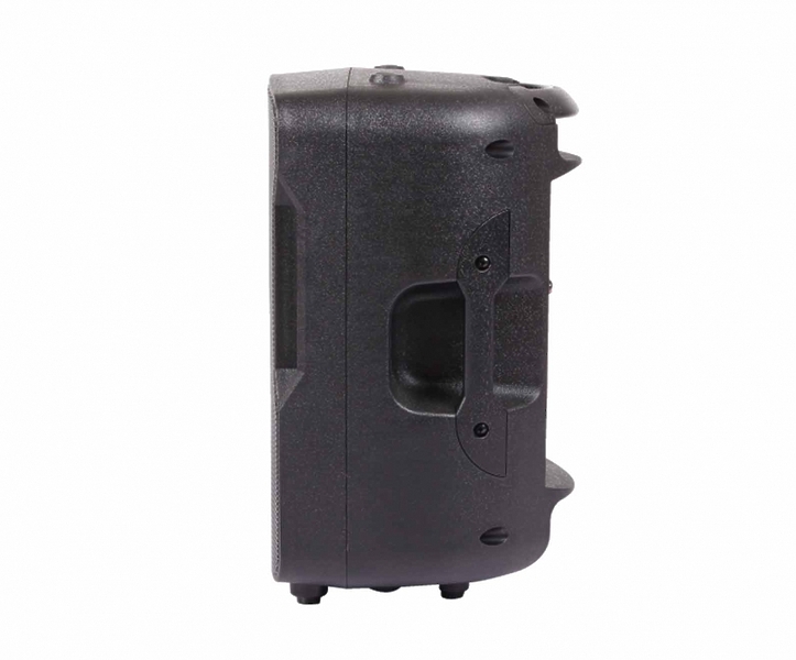 Акустическая система BLG BP13-08A10 артикул 210405Si-1 фото 5