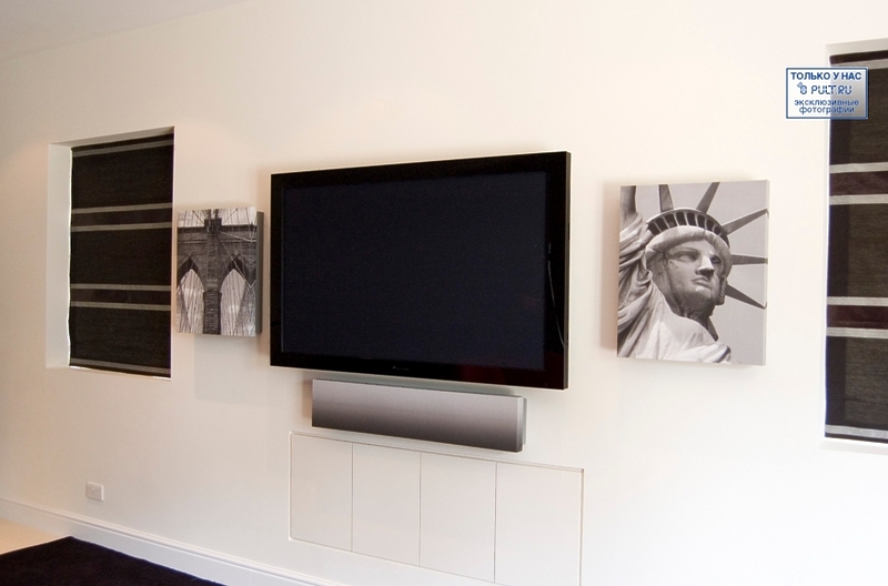 Настенная акустика IMAGEaudio IA-5 Frame With Custom Image артикул 433389FV-1 фото 6