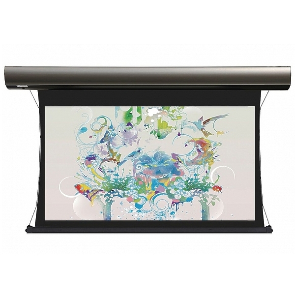 Экран Lumien Cinema Tensioned Control 168x257 см (раб.область 132х234 см) (106") High Contrast Sound (чёрный корпус) LCTC-100103 артикул 110930Si-1