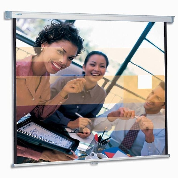 Projecta SlimScreen (96"/1:1) 180x180cm Matte White настенн артикул 348642SI-1
