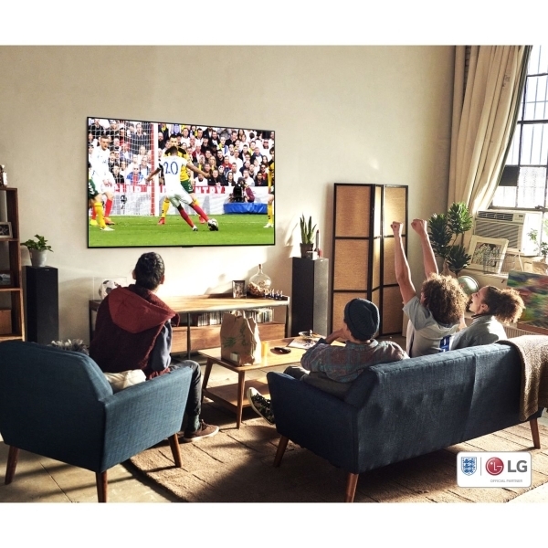 OLED телевизор LG OLED65A1RLA артикул 247651Si-1 фото 15