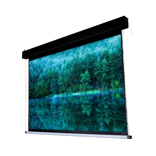 Экран Viewscreen Antis Pro ANP-16107 артикул 310310Si-1 фото 3
