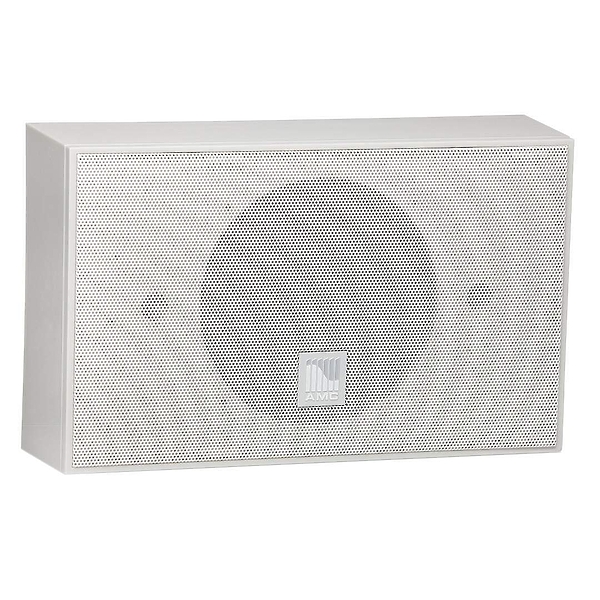 Громкоговоритель настенный AMC iSpeak 6 White papyrus (RAL 9018) артикул 231166Si-1
