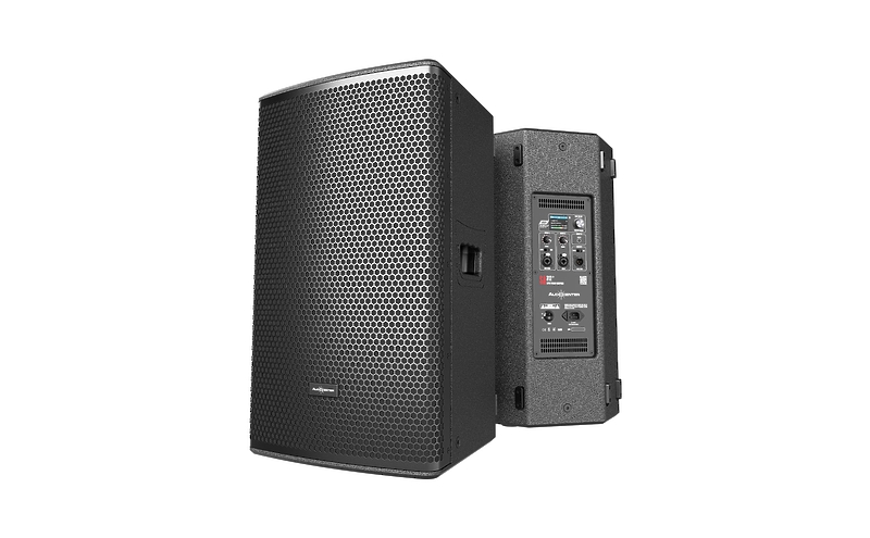 Акустическая система Audiocenter SA310 Plus (без входа AUX 3,5 мм) артикул 336068Si-1 фото 6