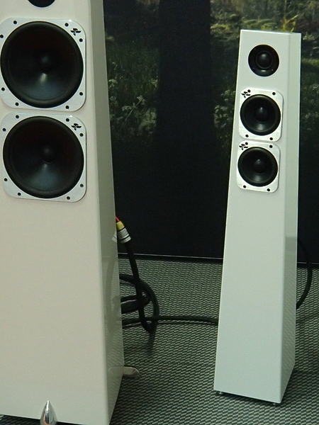 Напольная акустика Totem Acoustic Tribe Tower Dusk артикул 168173Si-1 фото 4