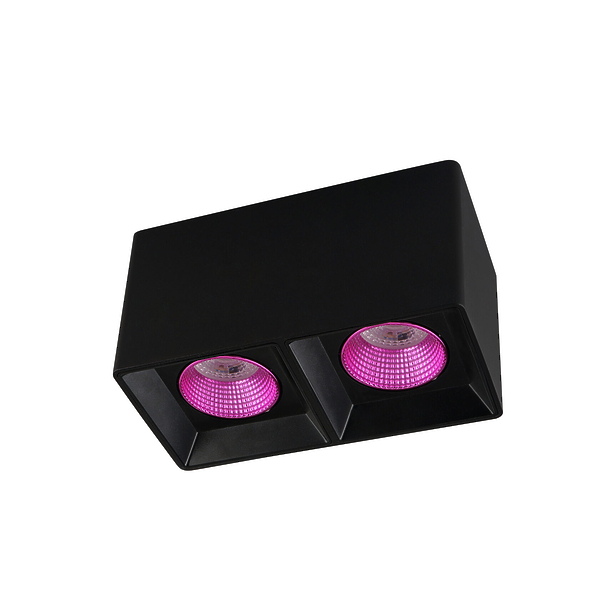 Светильник накладной Denkirs DK3085-BK+PI (Black Pink) артикул 270674Si-1