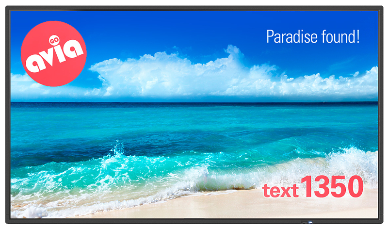 Защищенная панель NEC MultiSync P404 PG артикул 221321Si-1 в интернет-магазине «HiFiRussia»