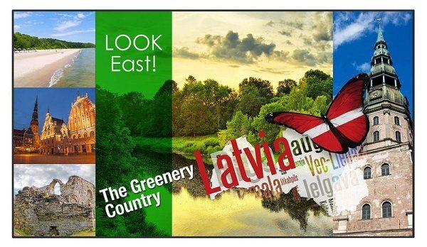 LED панель Panasonic TH-55LF80W артикул 138910Si-1 в интернет-магазине «HiFiRussia»