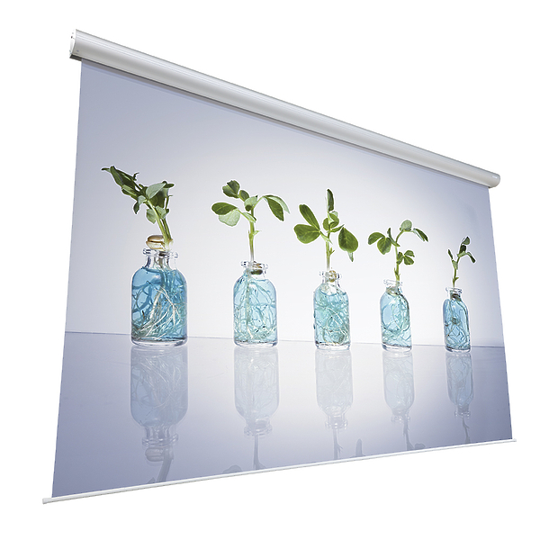 Экран Projecta [10130766]  Master Electrol 313x500см (232") Matte White 16:10 артикул 225405Si-1