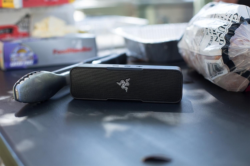 Razer Leviathan Mini (RZ05-01570100-R3G1) #11 в «HiFiRussia»