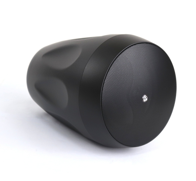 Трансляционная акустика AuraSonics FLORET-6T артикул 298058Si-1