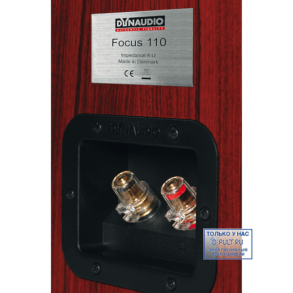 Акустическая система Dynaudio Focus 110 A maple артикул 443800FV-1 фото 8